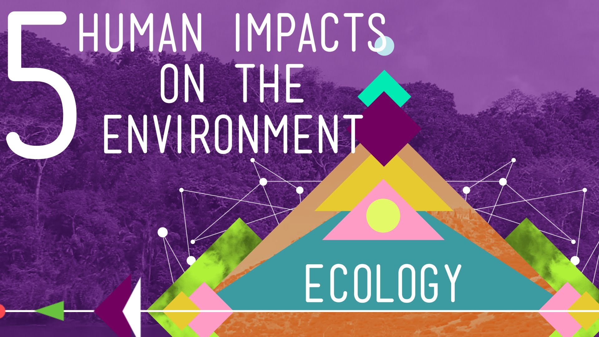 Human Impact On Ecosystems Worksheet