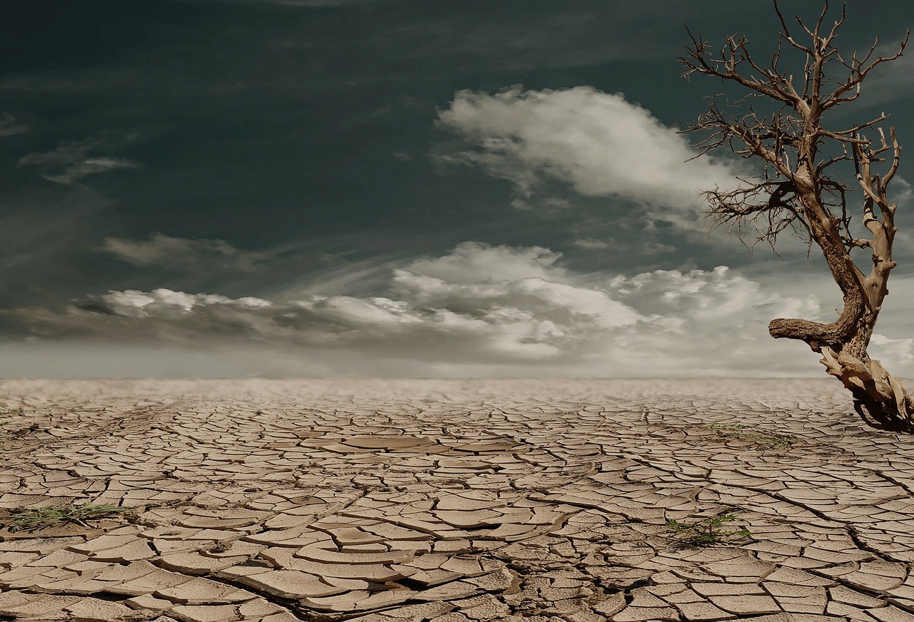 Scary dry land