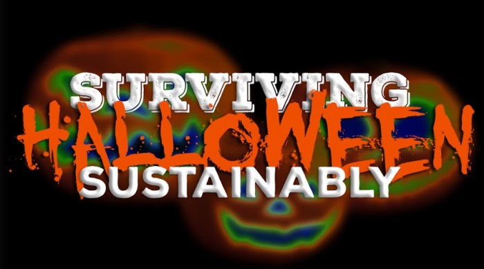 Surviving Halloween Sustainably
